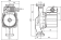 G_STAR-RS_25_4-RG.png
